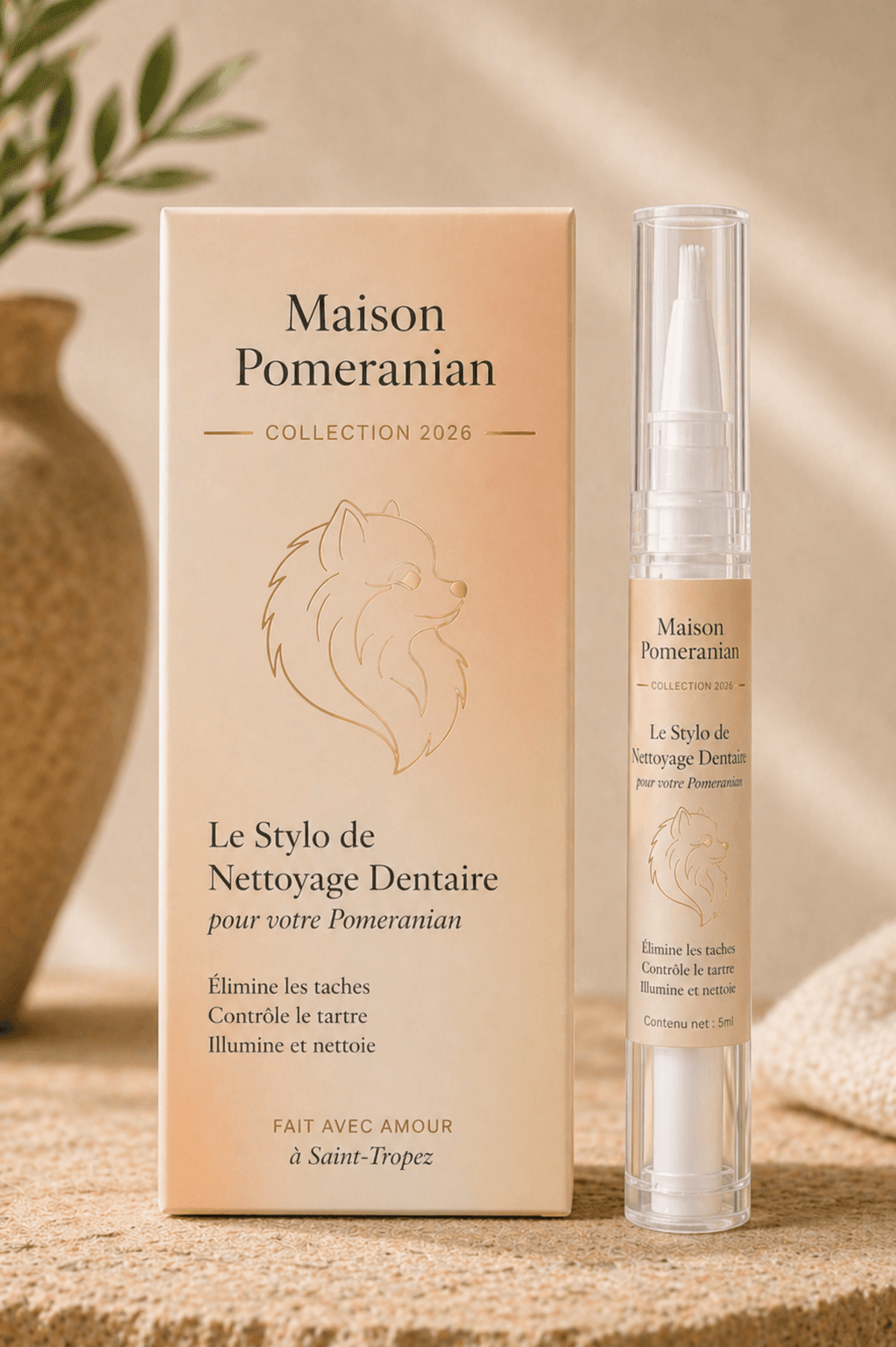 Le Stylo de Nettoyage Dentaire